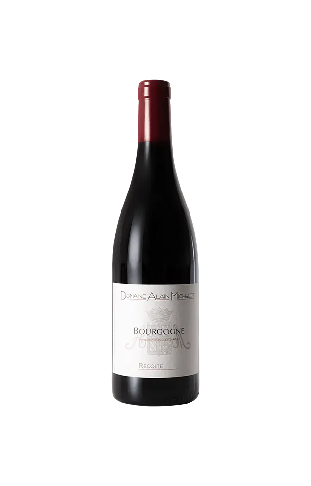 Alain Michelot Bourgogne Rouge 2021 (1x75cl)