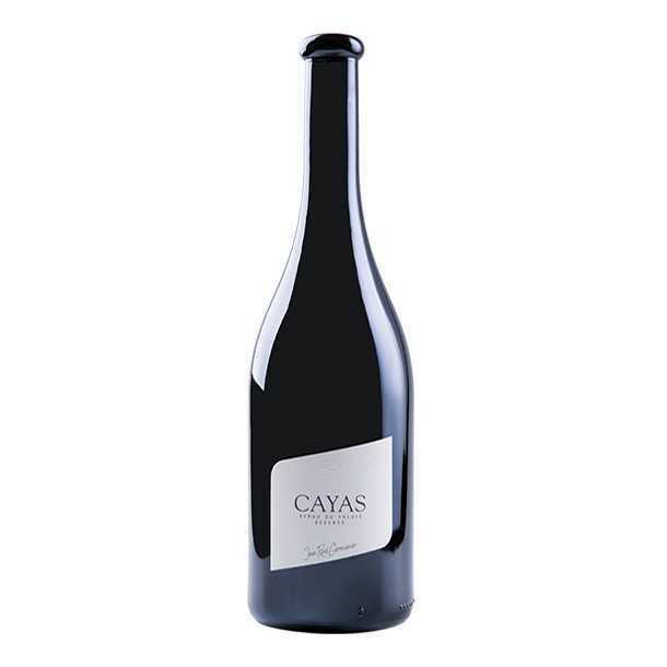 Domaine Jean-Rene Germanier Cayas Syrah 2022 (1x75cl)
