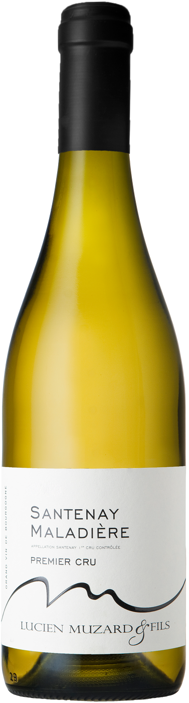Domaine Muzard Santenay 1er Cru Maladiere Blanc 2023 (1x75cl)