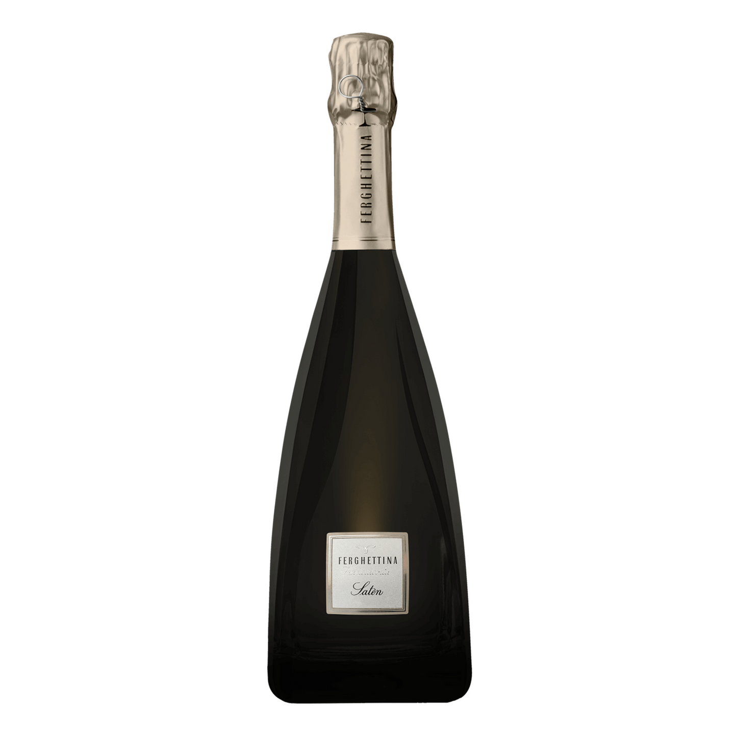 Ferghettina Franciacorta Saten 2019 (1x75cl)