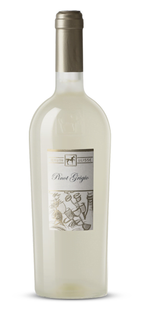 Tenuta Ulisse Pinot Grigio Terre Di Chieti IGP 2023 (1x75cl)