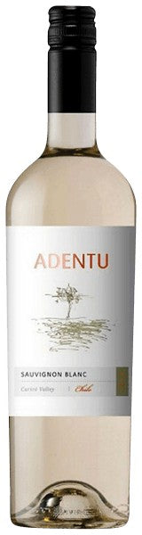 Siegel Adentu Sauvignon Blanc 2019 (1x75cl)