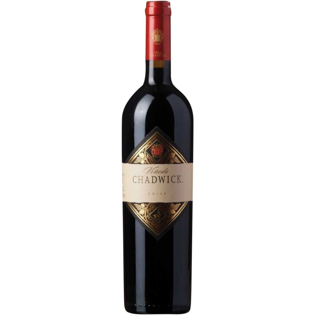 Vinedo Chadwick 2011 Magnum (1x150cl)