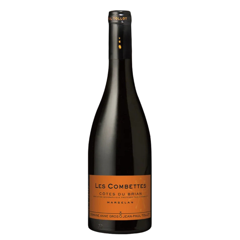 Domaine Anne Gros & Jean Paul Tollot Les Combettes Cotes du Brian 2022 (1x75cl)
