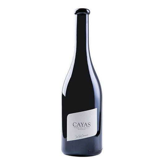 Domaine Jean-Rene Germanier Cayas Syrah 2022 (1x75cl)
