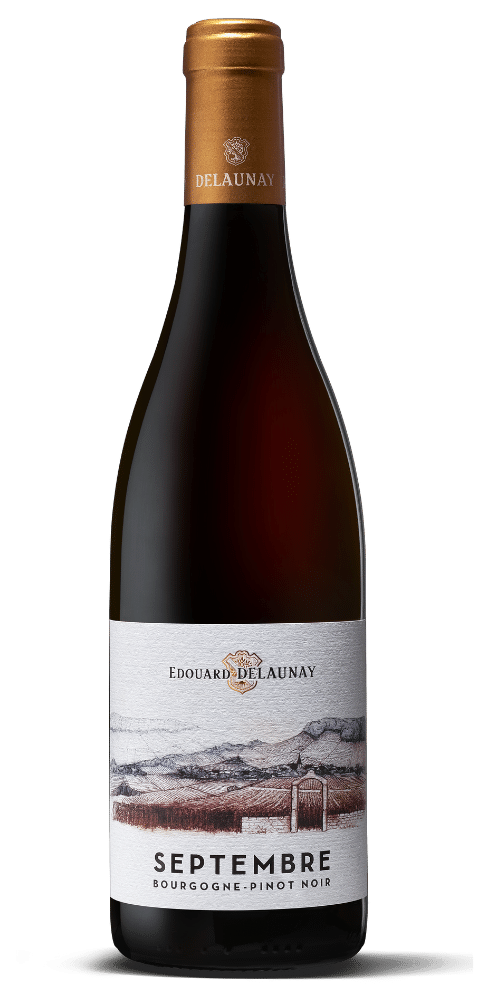 Edouard Delaunay Bourgogne Septembre Rouge 2022 (1x75cl)