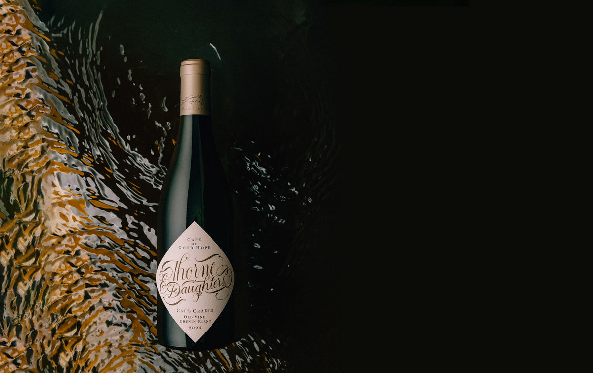 THORNE & DAUGHTERS Cat's Cradle Chenin Blanc 2022 (1x75cl)