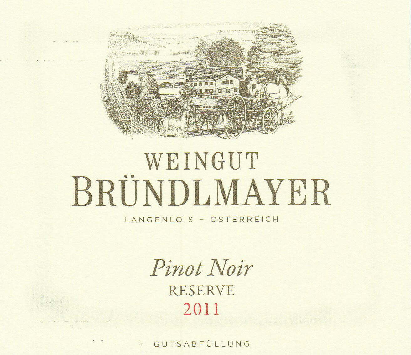 WEINGUT BRÜNDLMAYER Pinot Noir Reserve 2020 (1x75cl)