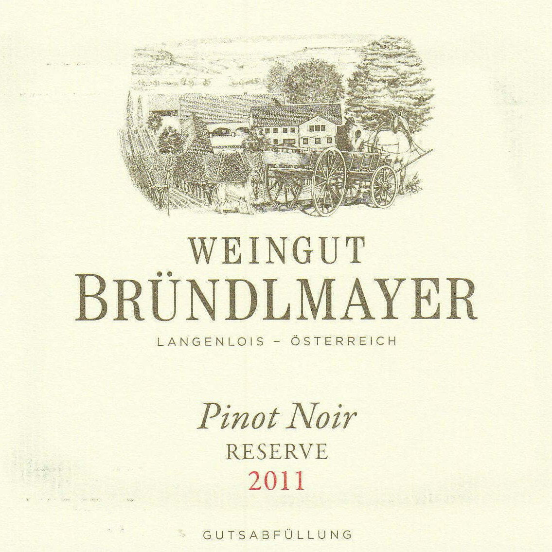 WEINGUT BRÜNDLMAYER Pinot Noir Reserve 2020 (1x75cl)