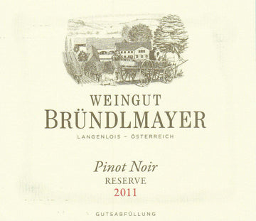 WEINGUT BRÜNDLMAYER Pinot Noir Reserve 2020 (1x75cl)
