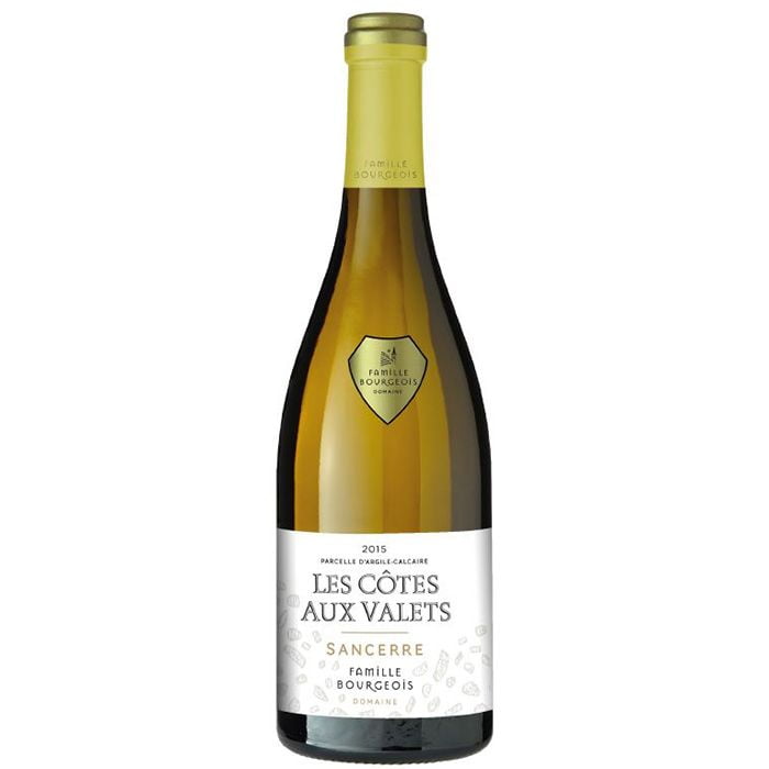 DOMAINE HENRI BOURGEOIS Sancerre Blanc ""Les Côtes Aux Valets"" 2020 (1x75cl)