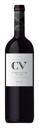 Van Zellers Curriculum Vitae Douro Tinto 2010 (1x75cl)